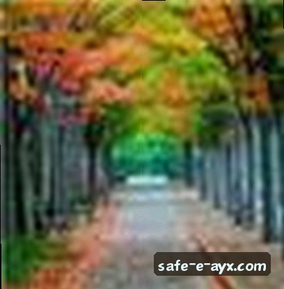 赵刚